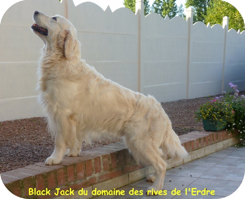 Black jack du Domaine des Rives de l'Erdre