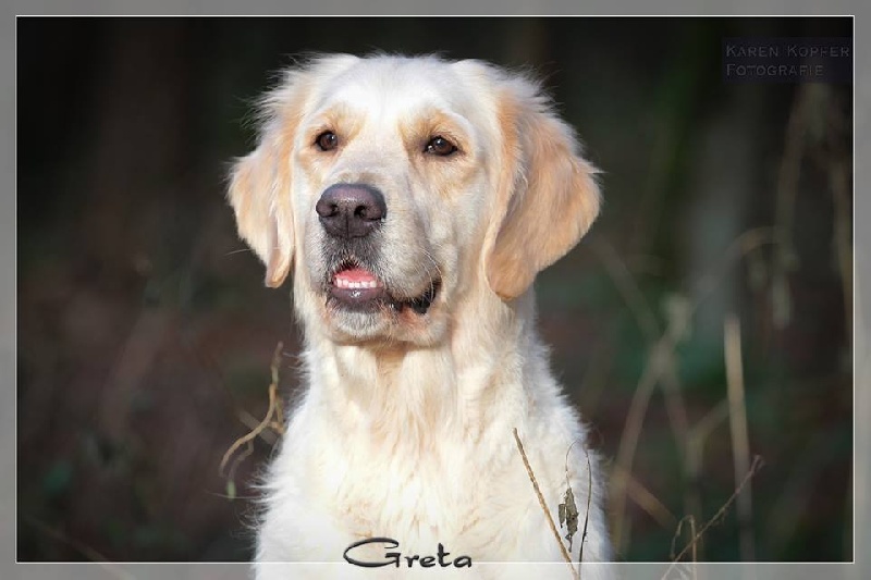 Greta de la Hêtraie de Berny