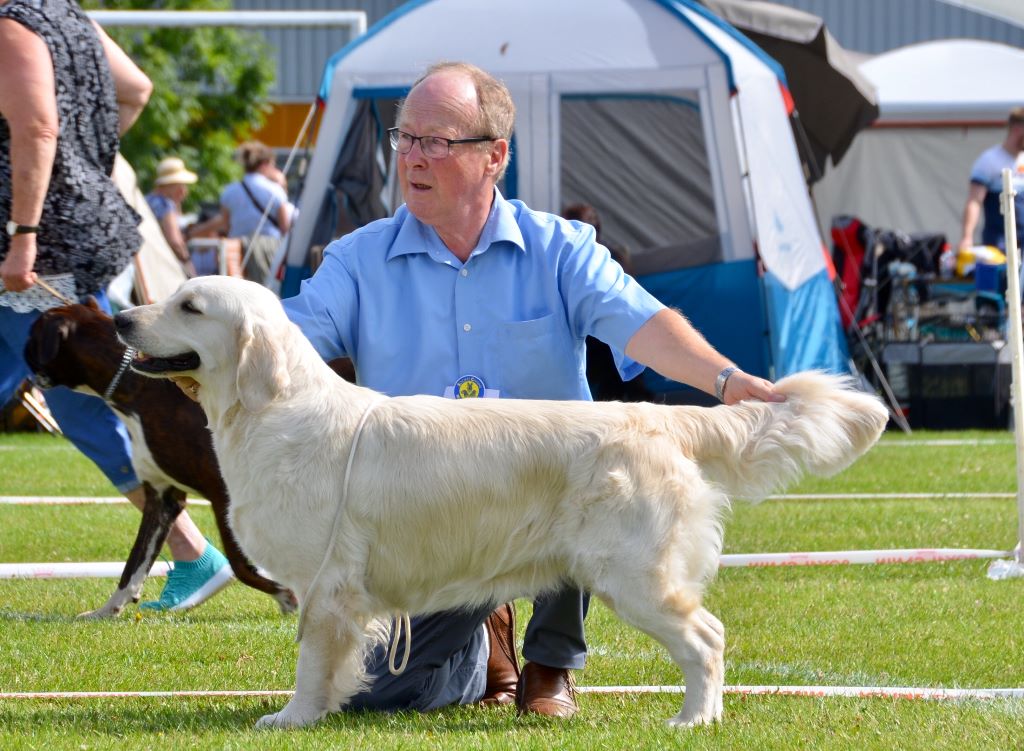 Expositions été 2019