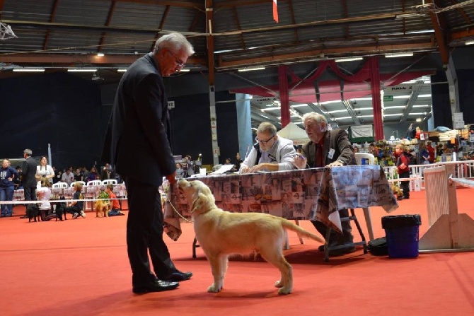 de la Hêtraie de Berny - CACS Pontoise 26 septembre 2015