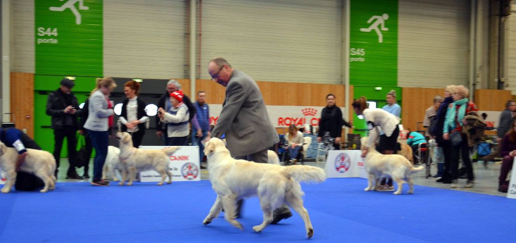 Mia PARIS DOG SHOW 2018